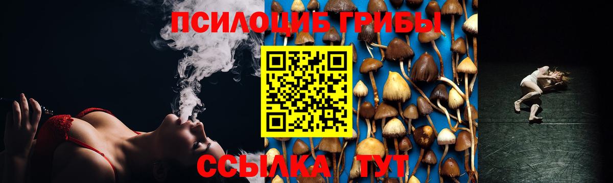 Галлюциногенные грибы Psilocybe  Вход с VPN  Карталы  Псилоцибиновые грибы Magic Shrooms 