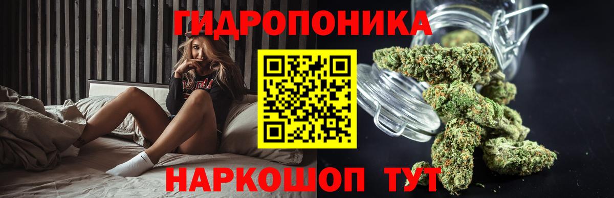 Бошки марихуана SATIVA & INDICA  МАРИХУАНА SATIVA & INDICA  МАРИХУАНА марихуана  Карталы  Вход с VPN 